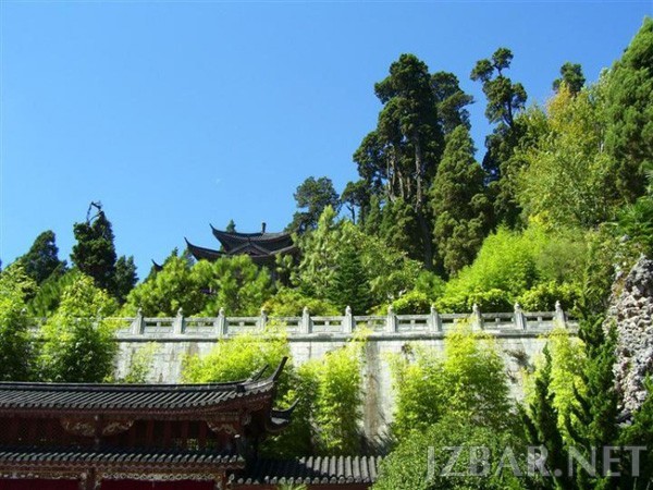 145046hnogugex10rs8yog.jpg