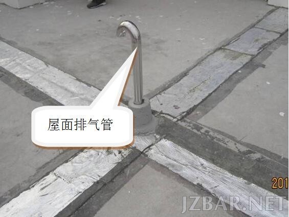 17205432xTCPAQZWdq.jpg
