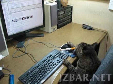 154137zgotg6w9pi7z7yhi.jpg