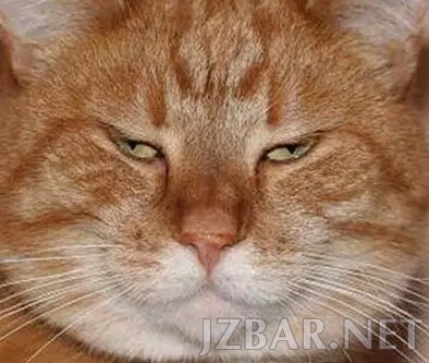 084719crcm2m9nf3ukqidp.jpg